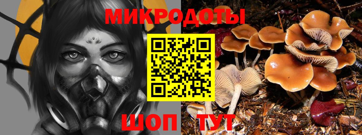 Галлюциногенные грибы ЛСД Семилуки